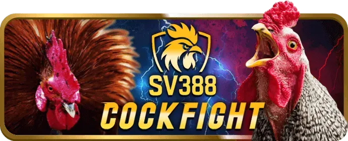 Hình ảnh minh họa quy trình đăng ký tài khoản SB88 Win